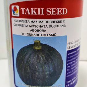 SEMENTE ABOBORA HIB TETSUKABUTO TAKII 300GR