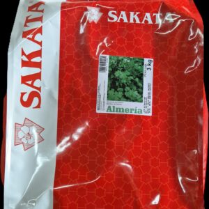 SEMENTE COENTRO ALMERIA SAKATA 3KG