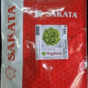 SEMENTE ALFACE ANGELICA SAKATA 25000 SEMENTES