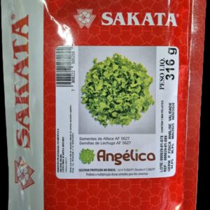 SEMENTE ALFACE ANGELICA SAKATA 7500 SEMENTES
