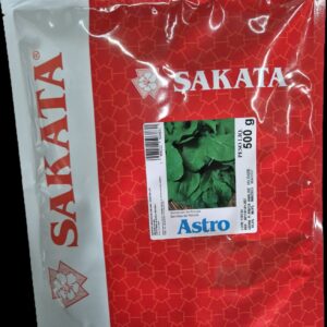 SEMENTE RUCULA ASTRO SAKATA 500g