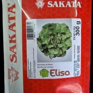 SEMENTE ALFACE ELISA SAKATA PELETIZADA 7500 SEMENTES