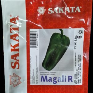 SEMENTE PIMENTAO HIBRIDO MAGALI-R SAKATA 1000 SEMENTES