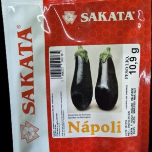 SEMENTE BERINJELA HIBRIDA NAPOLI SAKATA 2000 SEMENTES