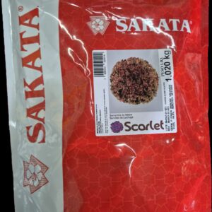 SEMENTE ALFACE SCARLET SAKATA 25000 SEMENTES PELETIZADA