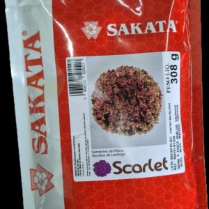 SEMENTE ALFACE SCARLET SAKATA 7500 SEMENTES PELETIZADA
