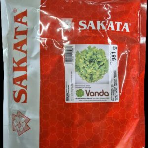 SEMENTE ALFACE VANDA SAKATA 25000 SEMENTES